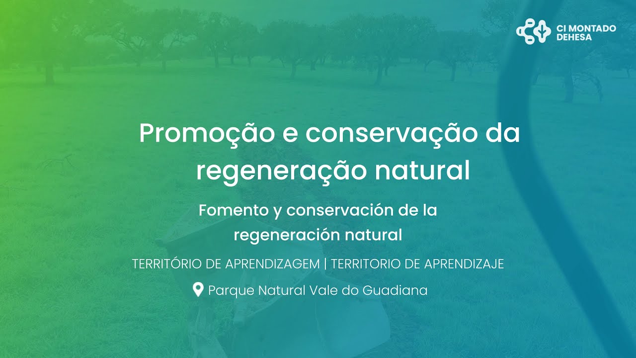 Vídeo Técnico: Promoção e conservação da regeneração natural | CI Montado-Dehesa