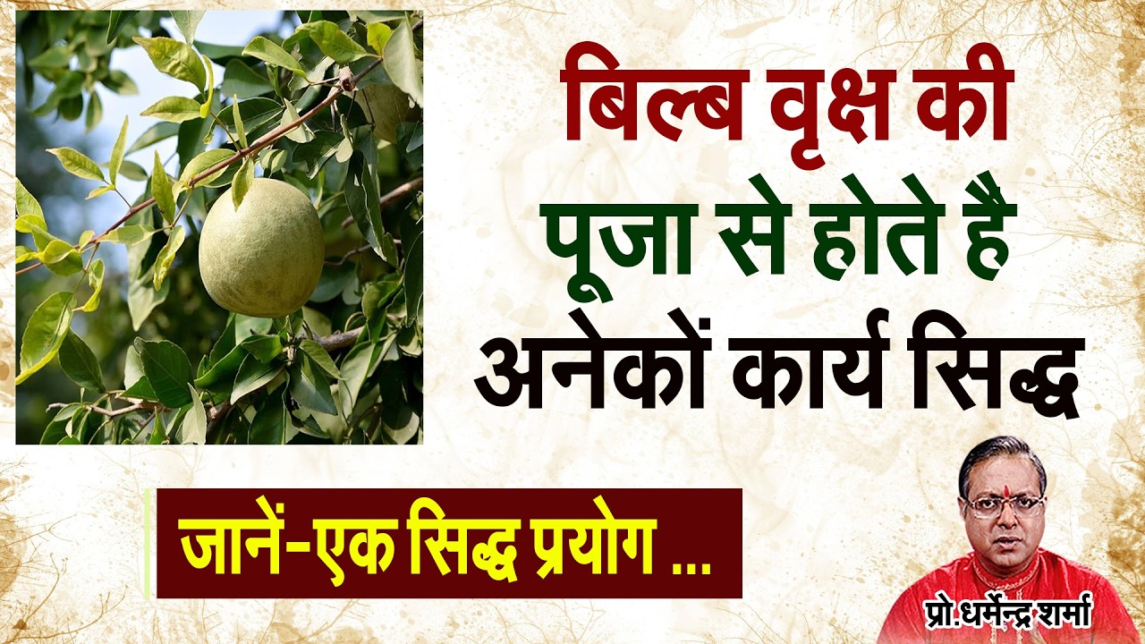 बिल्ब वृक्ष की पूजा से होतें  है अनेकों कार्य सिद्ध जानें-एक सिद्ध प्रयोग  Prof. Dharmendra Sharma