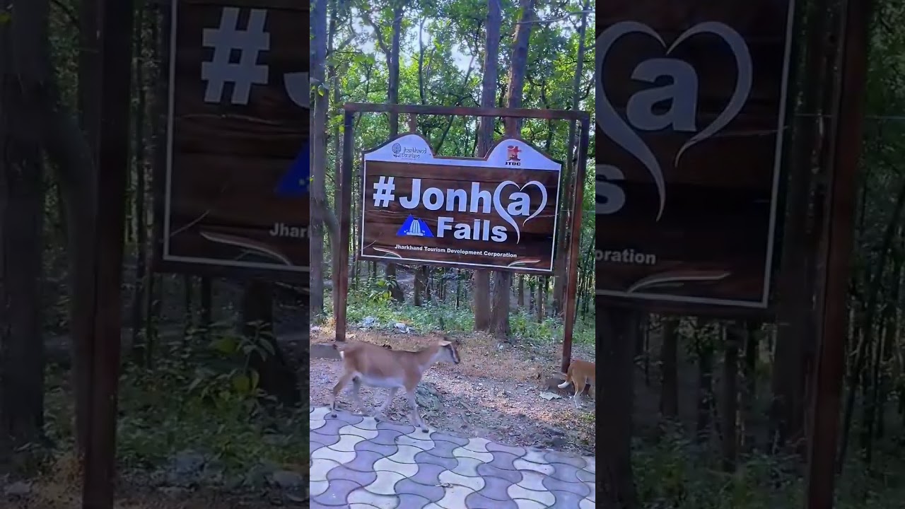 Jonha Falls ranchi //Total height:&nbsp;43 metres (141 ft) #shorts #viral #youtube #subscribe #jharkhand