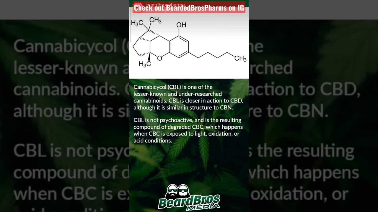 What is CBL?    (CANNABICYCOL)   #shorts