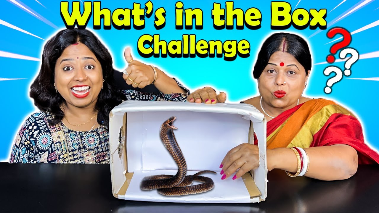 What's in the Box Challenge!😮 Funny Challenges