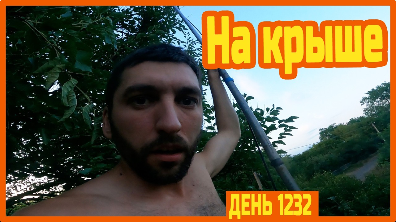 Качаю мёд. Ремонтирую интернет. Кушаю мороженное — День 1232