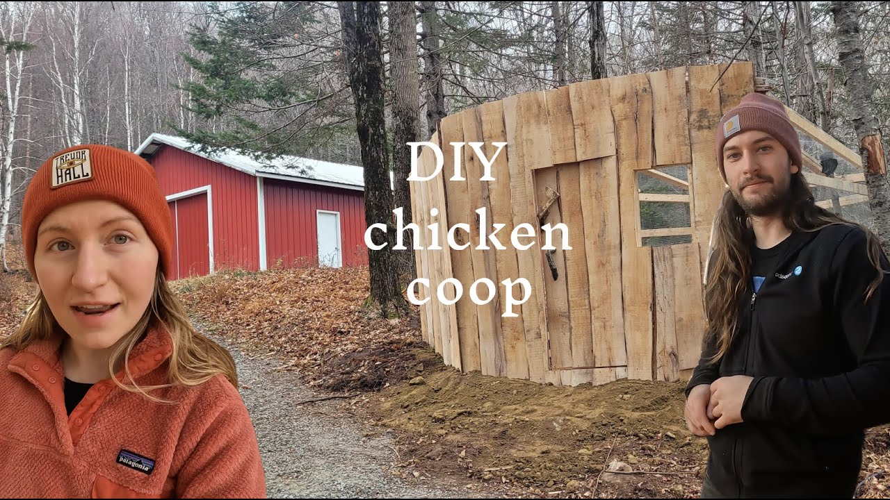 We Built a Palace for our Chickens / DIY Chicken Coop Build