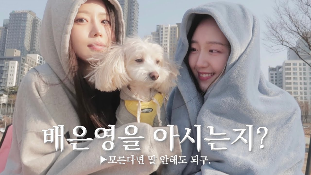 [CC]프로듀스48, 아이돌학교 아는 사람 들어와보랑께.
