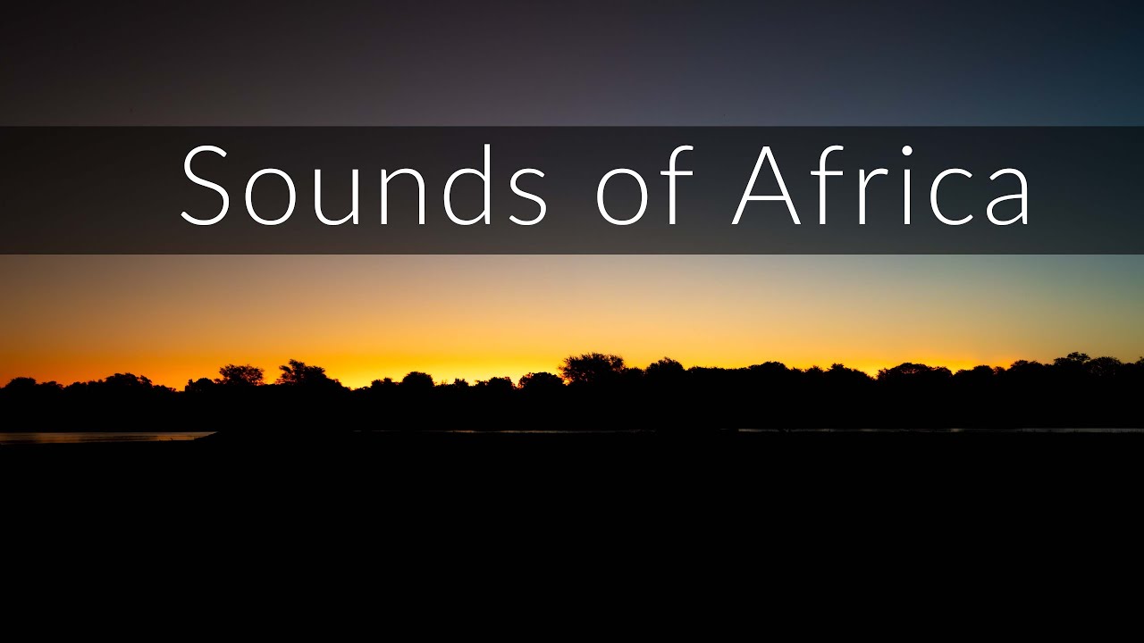 African night sounds