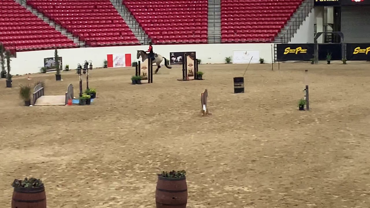 Andalusian World Cup 2019 Advanced (L6) Working Equitation Speed Cossaco & Jill Barron