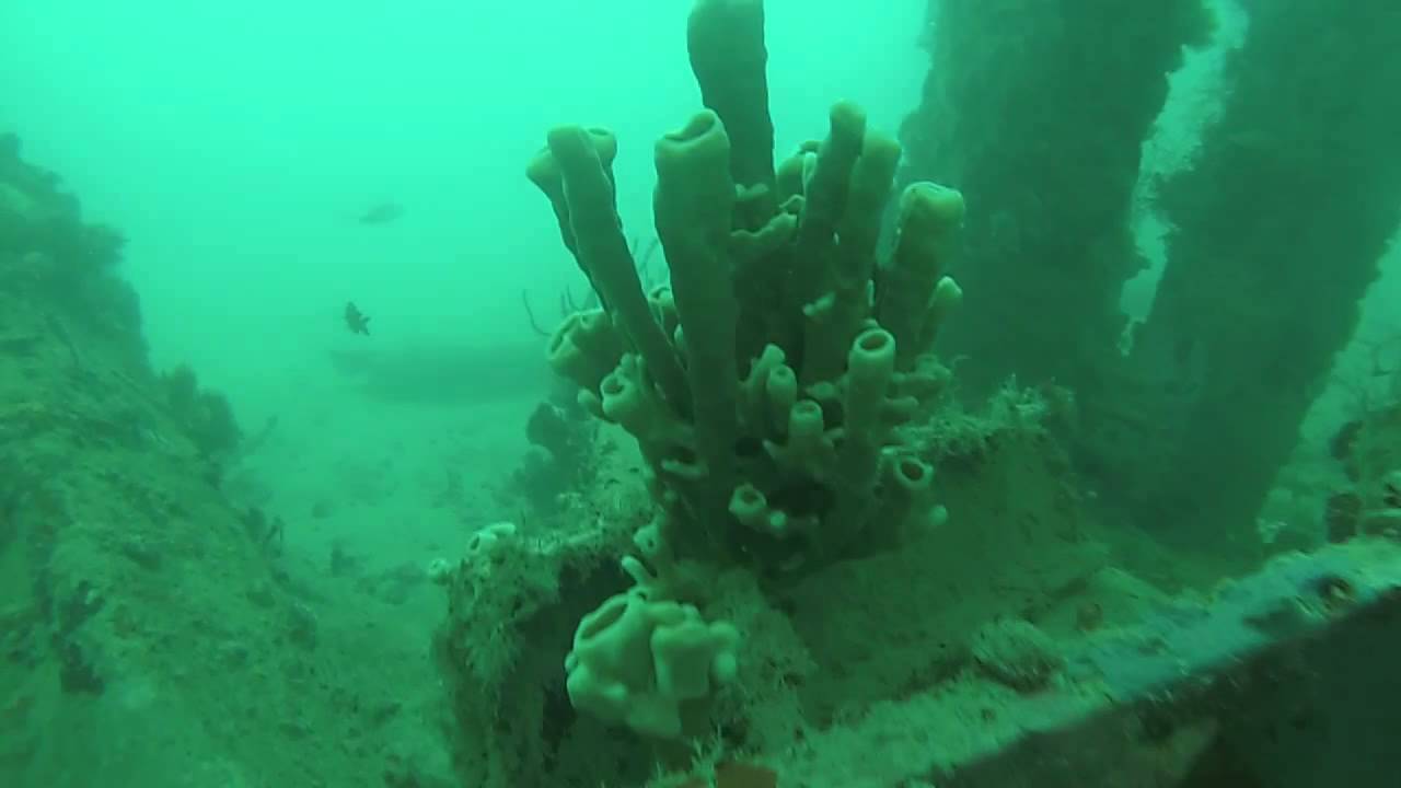 Mosquito Pier 02