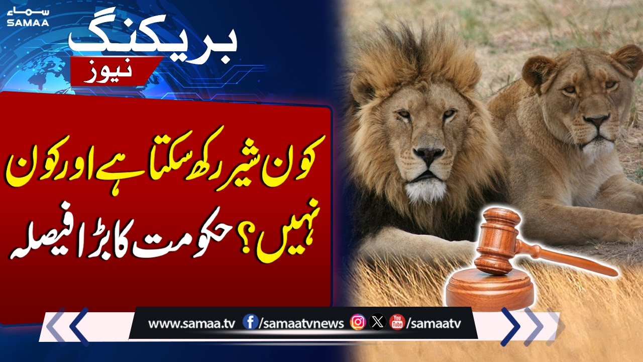 Latest Law Update in Punjab regarding Lions | Breaking News | Samaa TV