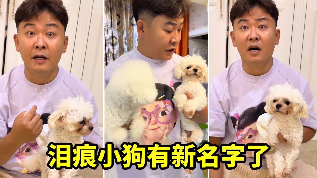 狗狗脸上也画眼线了，狗狗：请叫我淘小红！