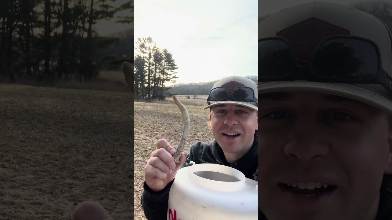 Frost Seeding bonus - found a spikes&rsquo; shed! #futurebooner #frostseeding #hunting #wisconsin