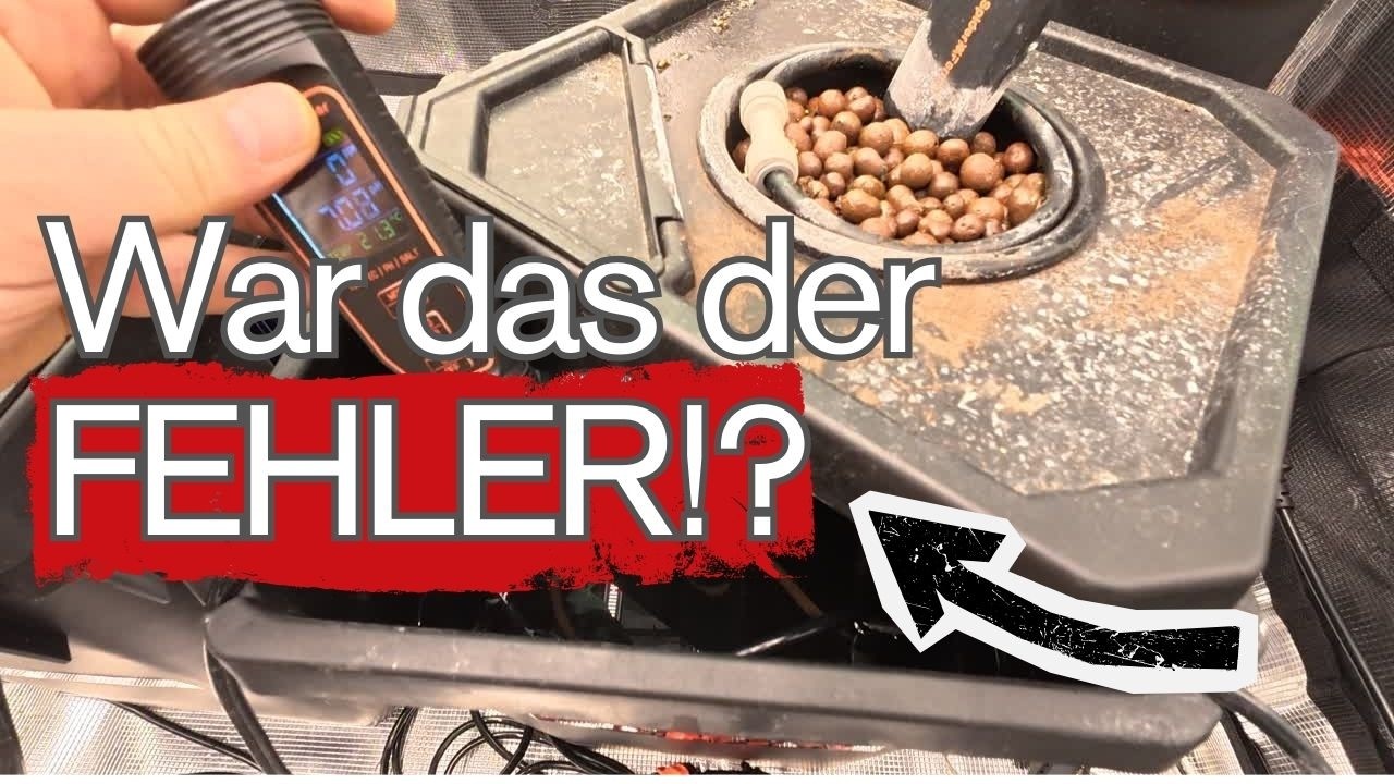 Keim-Drama & pH-Chaos?! 😳 Wir kalibrieren den Spider Farmer PH Pen