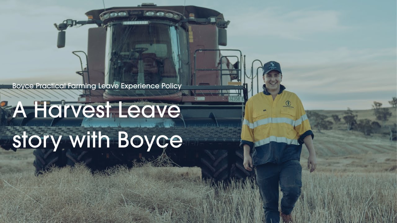 A Harvest Leave Story with Boyce