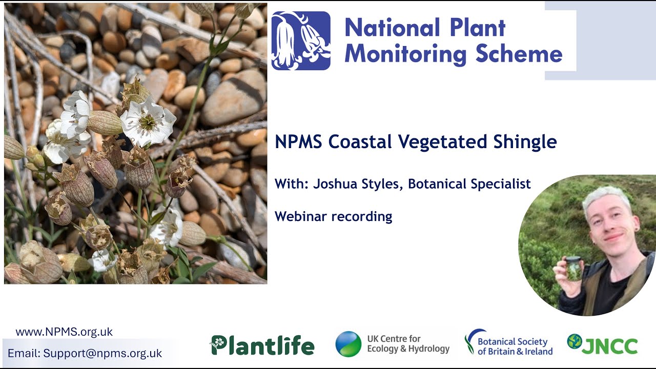 NPMS: Coastal vegetated shingle - webinar recording