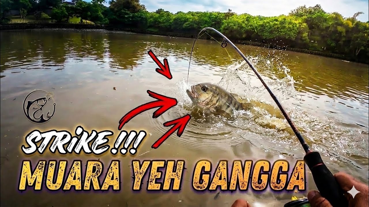 Spot Mancing Pinggiran MUARA YEH GANGGA TABANAN‼️ STRiKE Ikan Target‼️