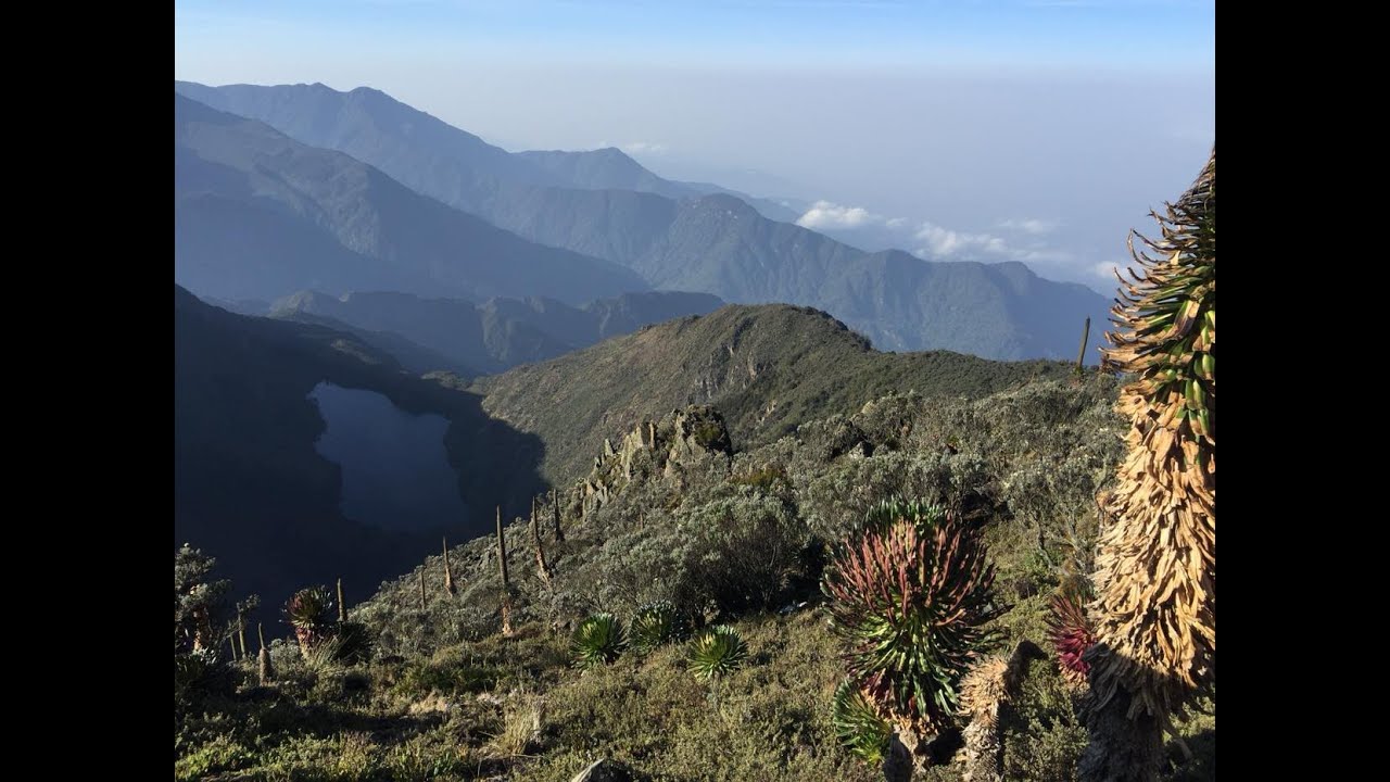 Rwenzori Climb 2017 (Congo side)