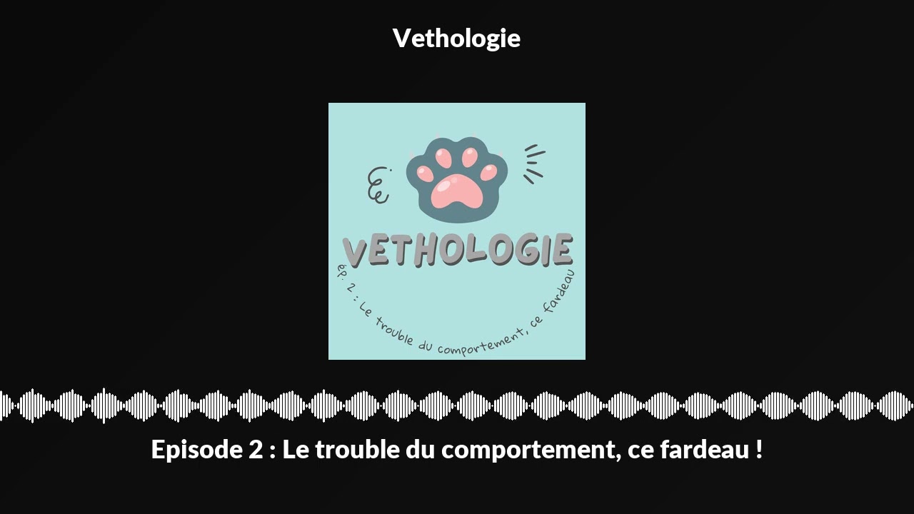 Episode 2 : Le trouble du comportement, ce fardeau !
