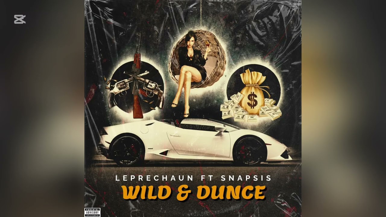 Leprechaun X Snapsis - Wild & Dunce (Official Audio)