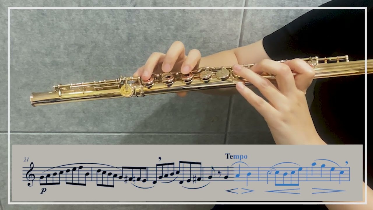 Gariboldi Flute Etudes  Op. 132  No.5  C Major