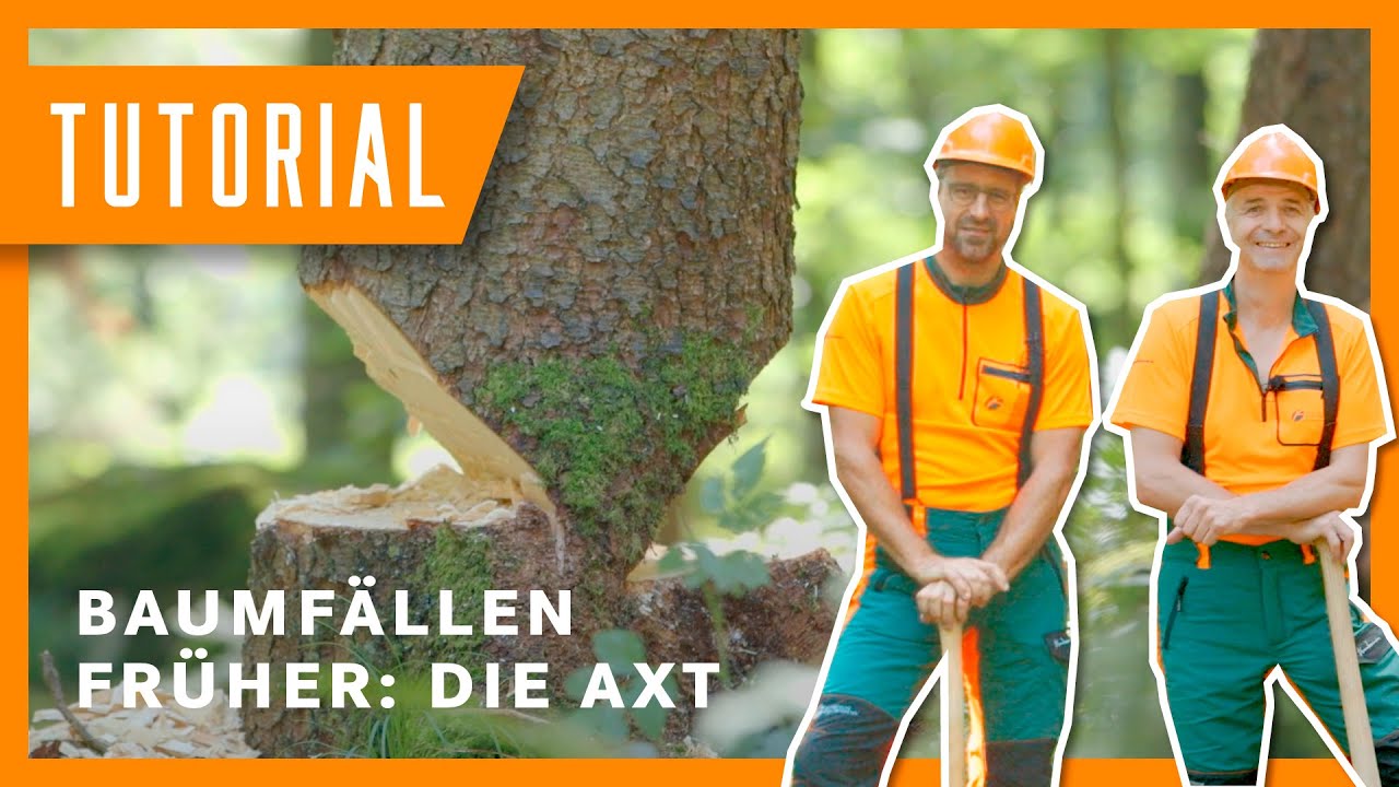 Baum fällen im Wandel der Zeit: Axt I Tutorial-Special der Bayerischen Staatsforsten