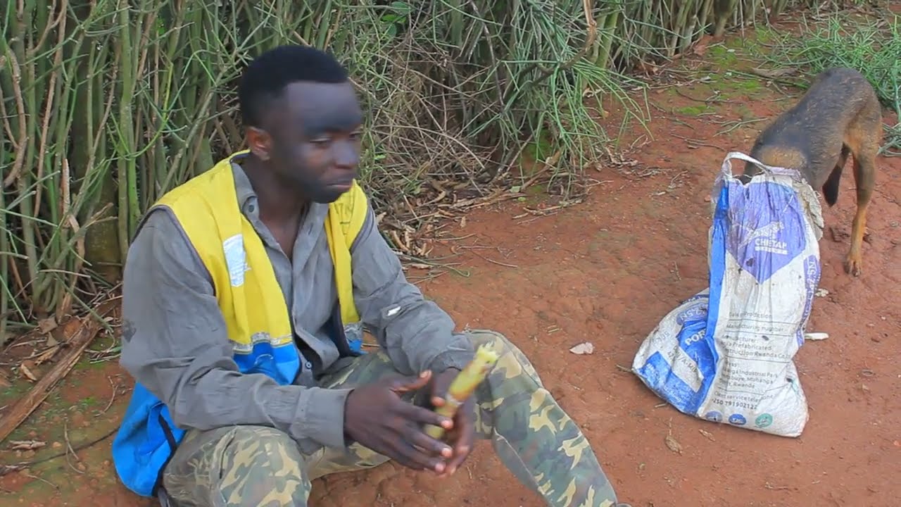 Bamufashe Arikubaga imbwa 😭😭Azigurisha Abaturage 😭😭mwirinde kugura inyama zibonetse zose🙏