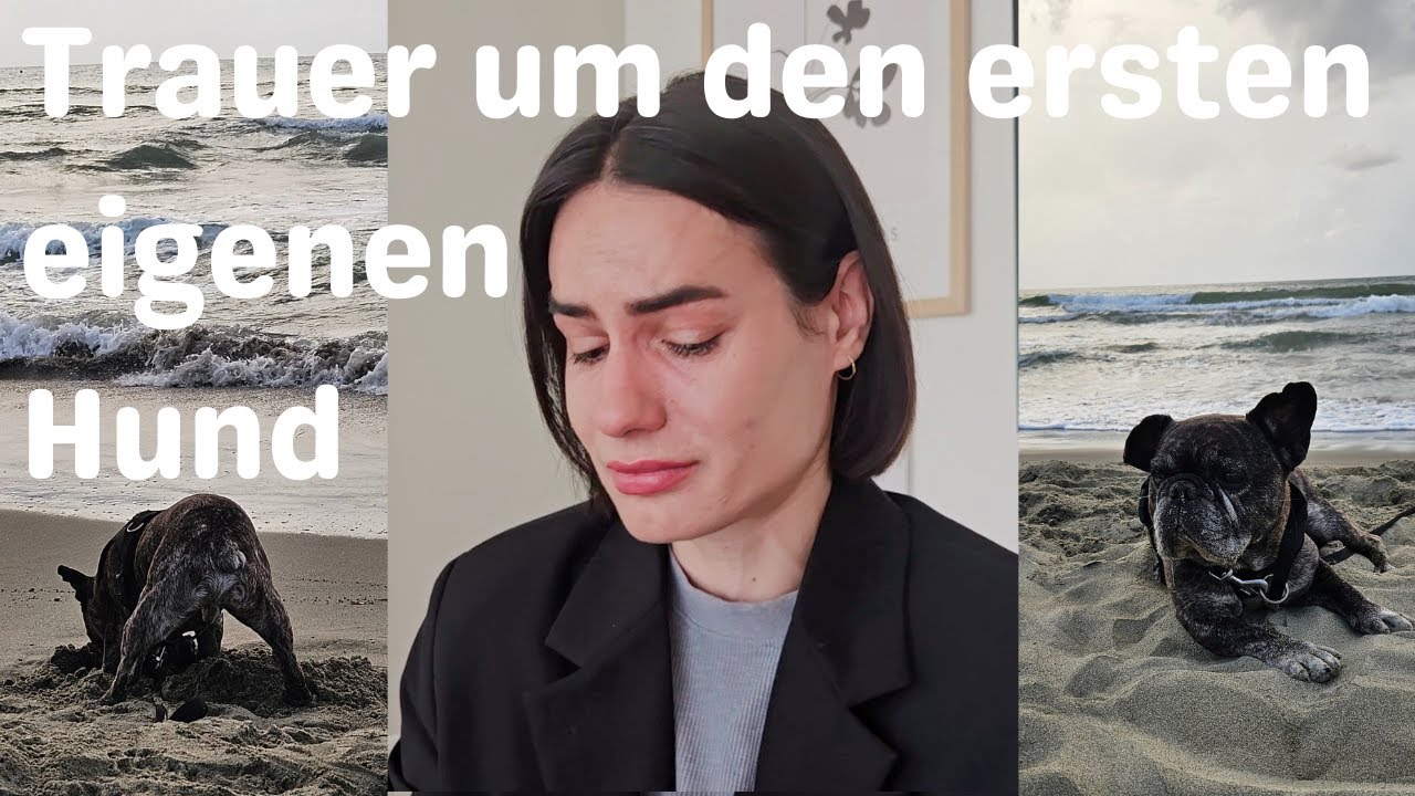 Mein Hund ist tot | So fühlt sich echte Trauer an | Was hilft, wenn du Abschied nehmen musst 🤍🕊