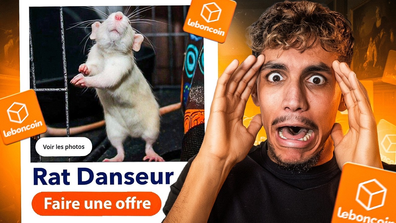 J'APPELLE DES ANNONCES LEBONCOIN ALÉATOIRES 💀 (Le vendeur me drague ???)
