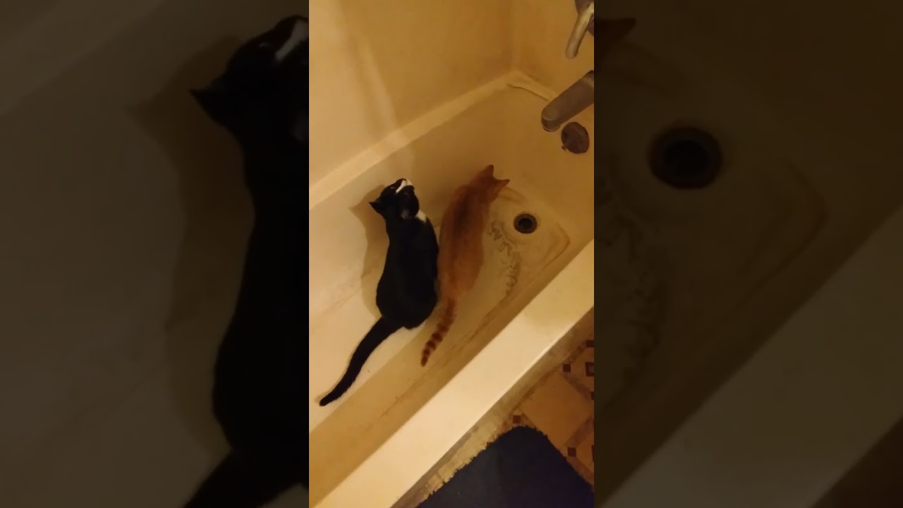 bath time