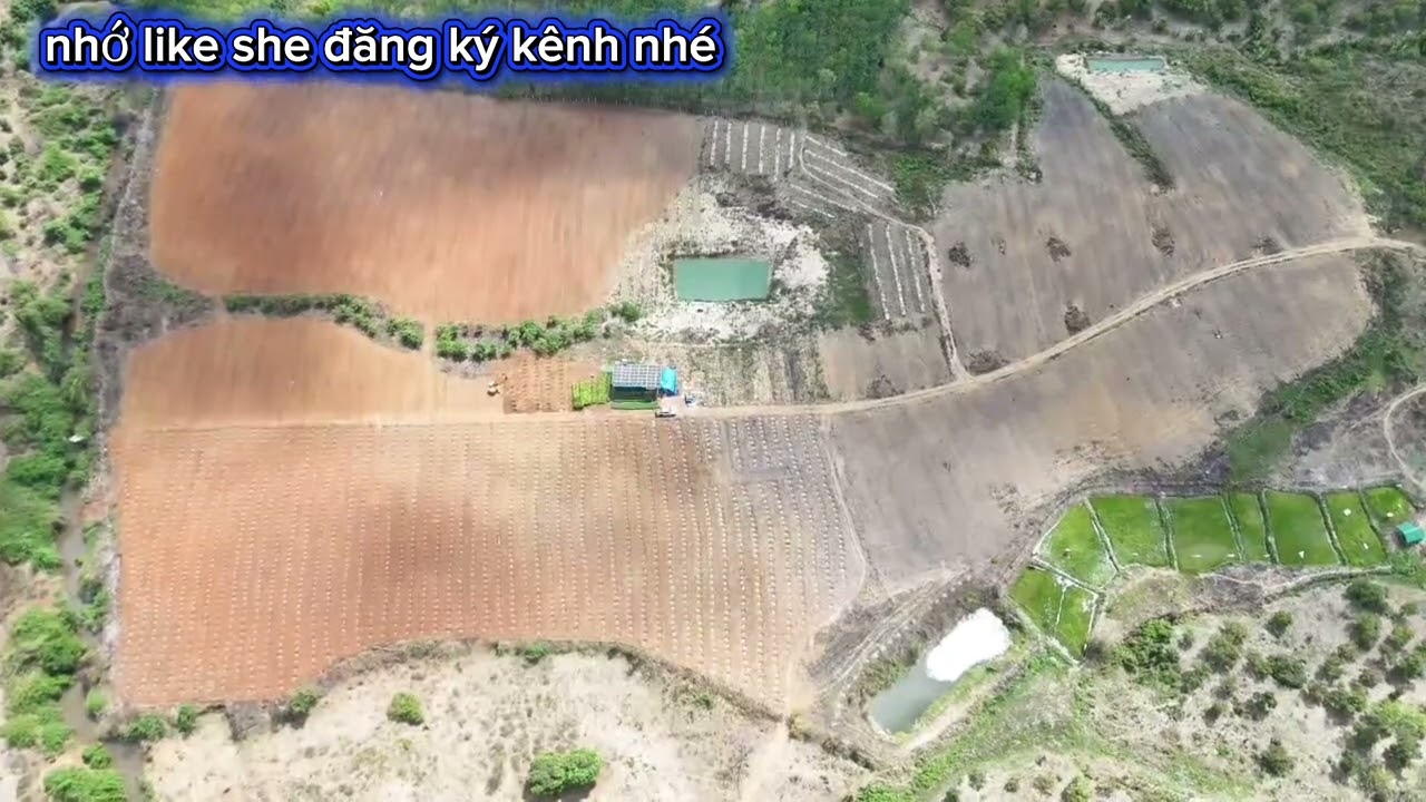 Cần nhượng 6 héc đất đỏ bazan.2 héc đất đen 4 héc đất đỏ.ôm Suối có 3 cái hồ giá 4,2 tỷ.