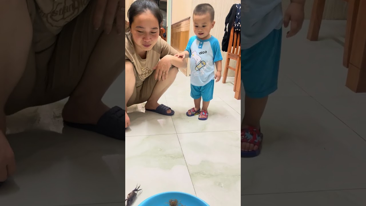 #xuhuongtiktok #xuhuongyoutube #xh #baby #minecraft #food #gorilla #cuoncuoncon #minecraftanimation 