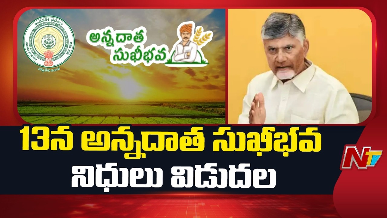CM Chandrababu Hold Conference With Collectors | NTV  Telugu