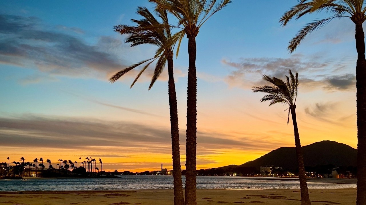 Mallorca im Februar - lohnt es sich?