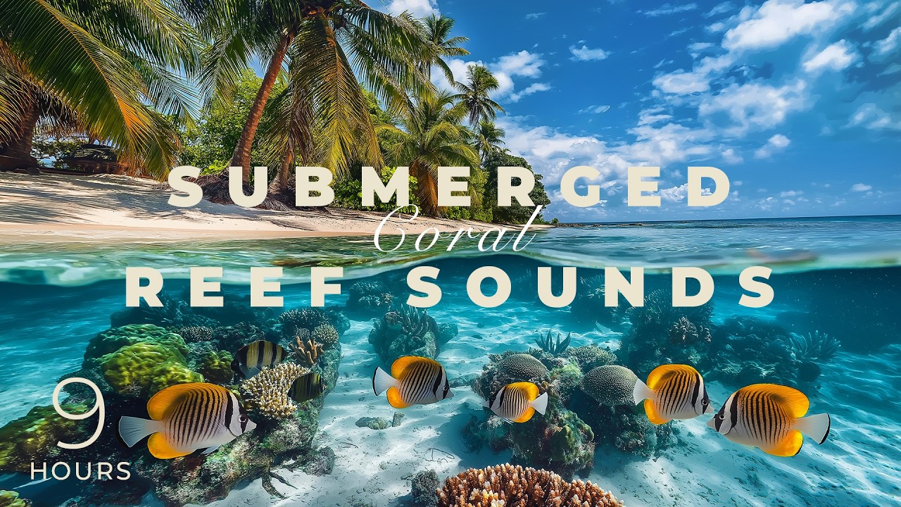 Submerged Coral Reef Sounds: Journey to Underwater Tranquility and Deep Relaxation- 9 HOURS