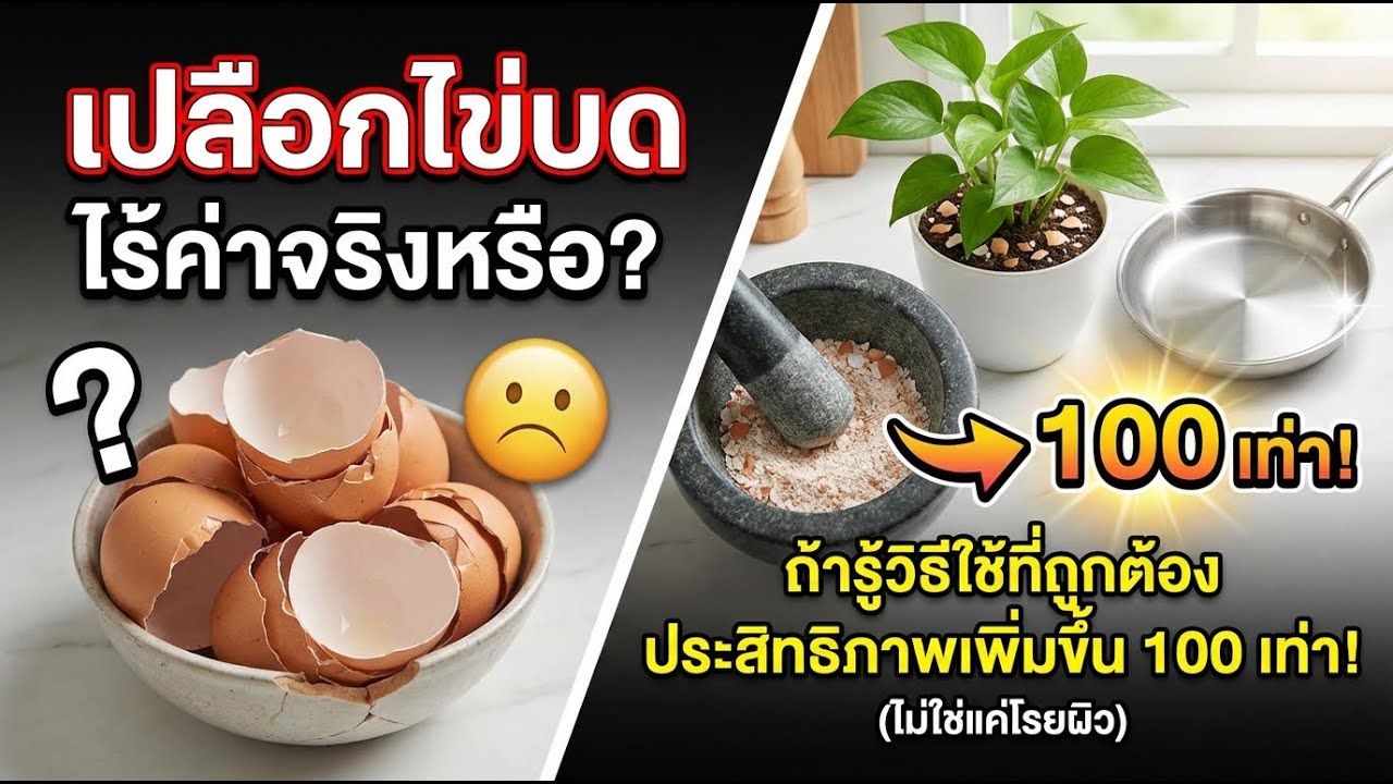 เปลือกไข่บดไร้ค่า? เปลี่ยนเป็นแคลเซียมเข้มข้นได้ด้วยวิธีนี้!