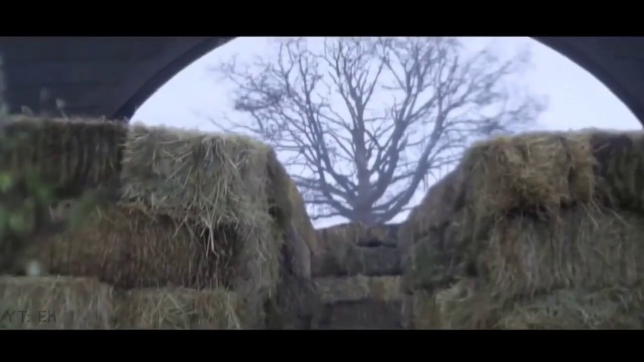 Pet Cheetah Visualizer (Lyric Video)