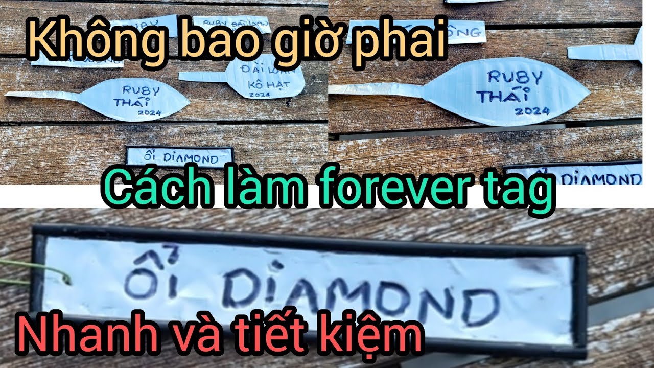 cách làm forever tag- bản tên cho cây không bao giờ phai..nhanh, đẹp, và tiết kiệm 🥰
