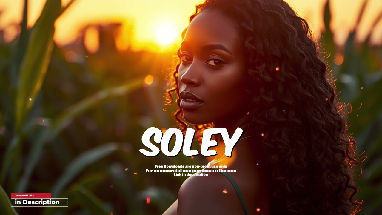Afrolove Type Beat – “ SOLEY ” | Afro Guitar Kompa Instrumental | 2026