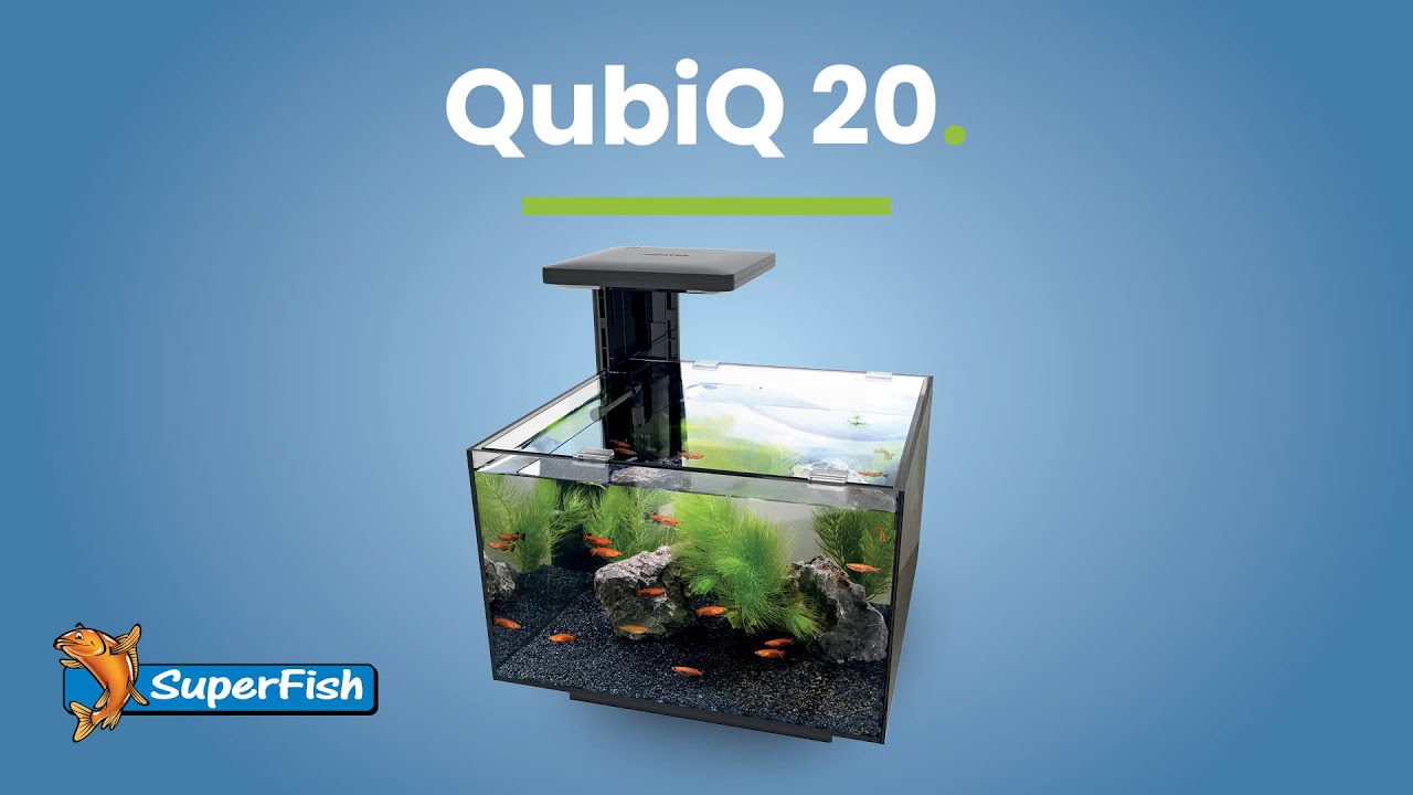 SuperFish | QubiQ 20