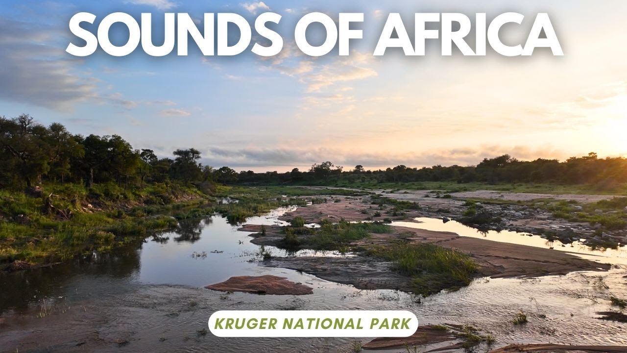 African Sunrise | Kruger National Park| Lower Sabie