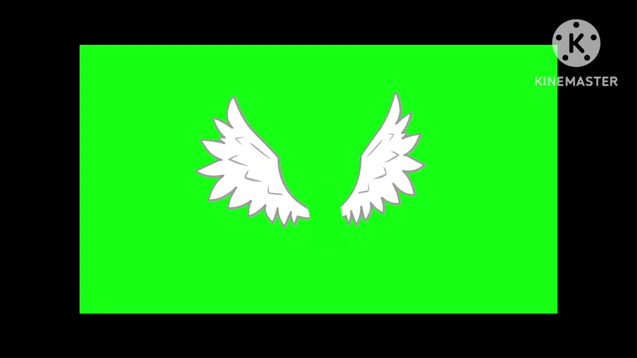 White angel wings (green screen) free to use just credit