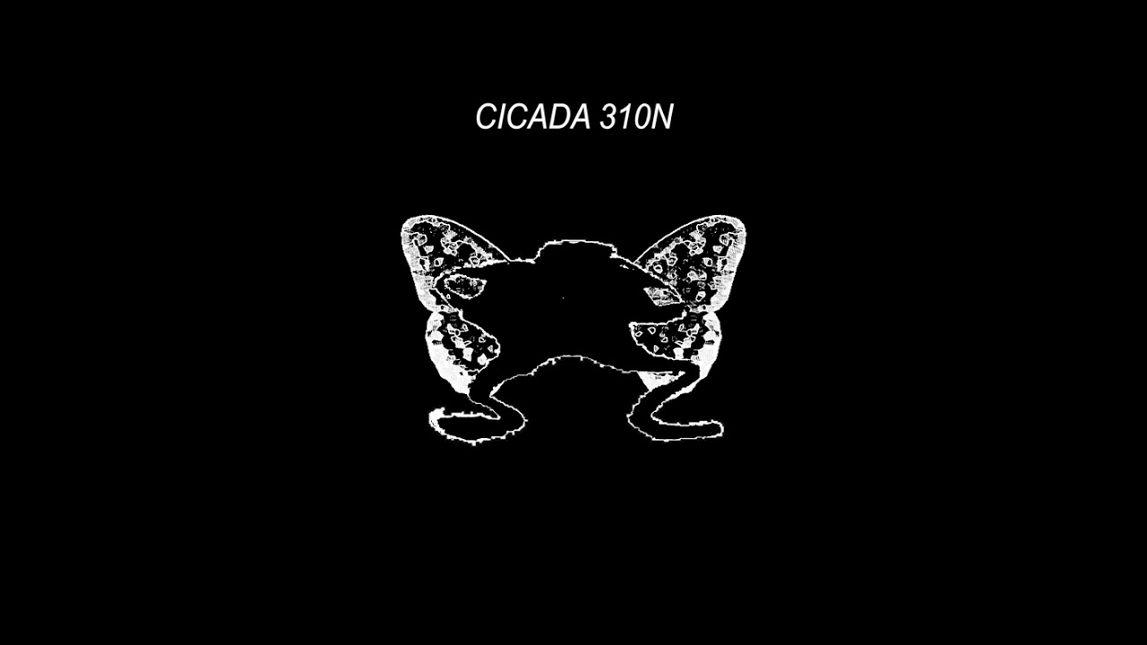 Cicada 3301 -The Instar Emergence but that stupid ass elon-fairy ruined it...