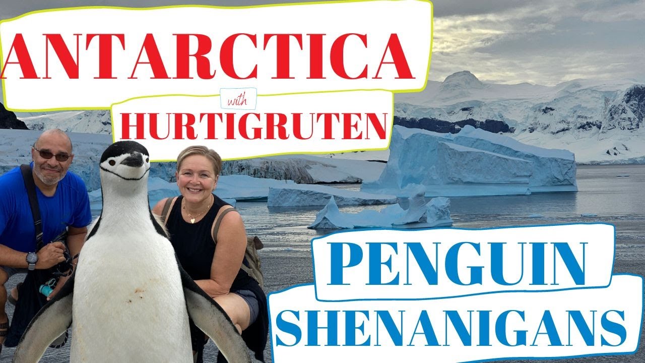 Penguin Shenanigans on Danco Island, ANTARCTICA  2023