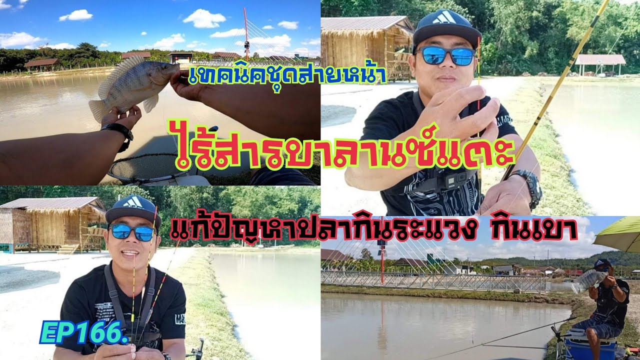เทคนิคชุดสายหน้า ไร้สารบาลานซ์แตะ แก้ปัญหาปลากินระแวง กินเบา