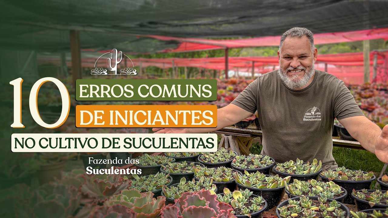 10 ERROS MAIS COMUNS NO CULTIVO DE CACTOS E SUCULENTAS - APRENDA COMO EVITÁ-LOS