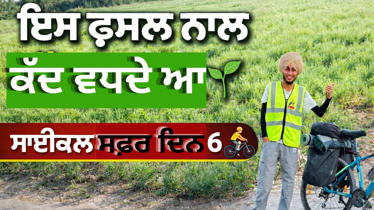 ਆਸਾਲੀਆ ਫਸਲ ਦੀ ਸਹੀ ਕਾਸ਼ਤ | ਇਸ ਫ਼ਸਲ ਤੋ ਵਧਦੇ ਨੇ ਕੱਦ ਬੱਚਿਆਂ ਤੇ ਘੋੜਿਆਂ ਦੇ 🤔@FailBanda1 