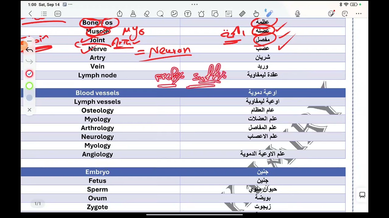 1st grade Vet. Terminology (anatomy)