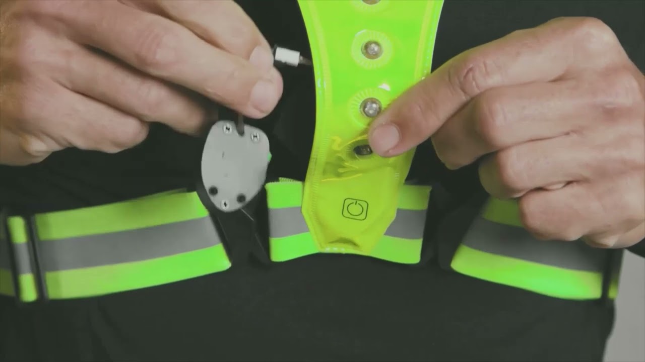 Bee Seen LED Harness