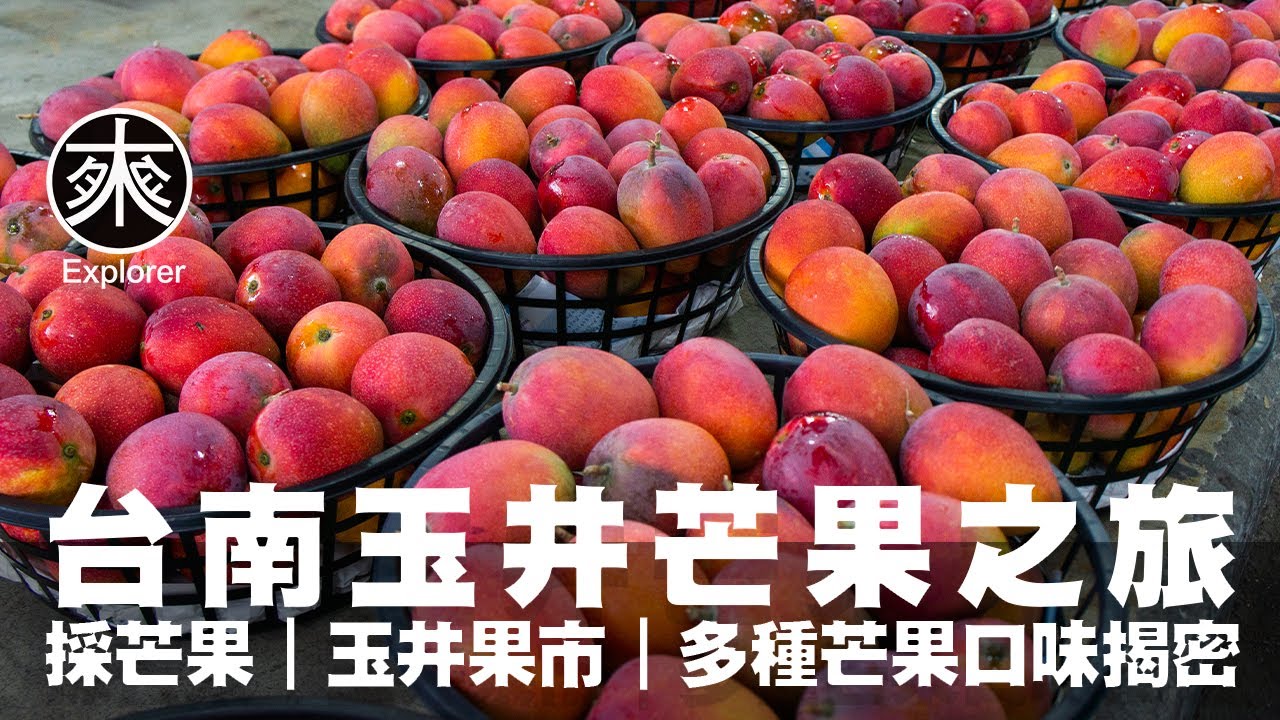 芒果控必看！【玉井青果市場】芒果大評比，挑選最好吃的品種！芒果品種那麼多要怎麼挑選｜媽媽親子系列｜探路者   マンゴーファン必見！マンゴー大評価、最も美味しい品種を選ぶ方法！