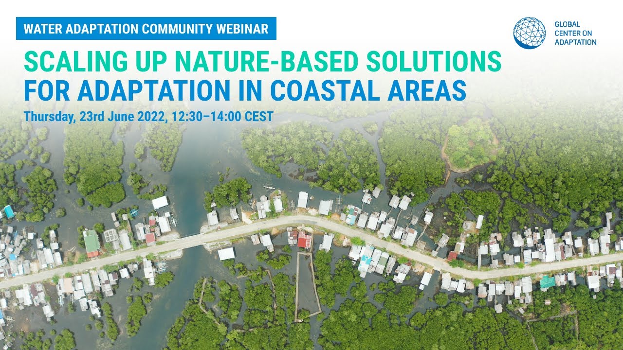 Scaling Up Nature-based Solutions for Adaptation in Coastal Areas