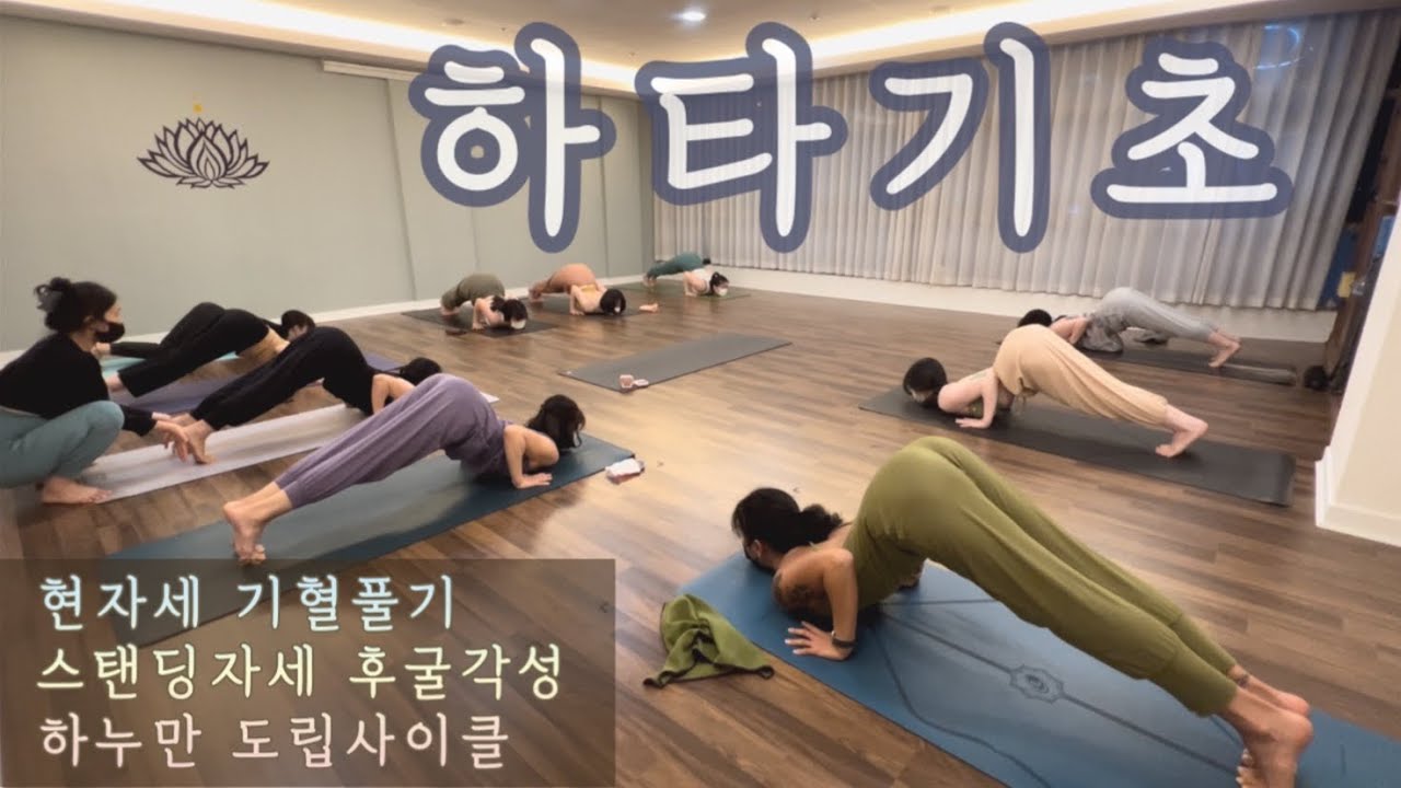 [엔젤요가] 하고나면 개운한 하타요가 | 하타기초 | 골반교정좌법 현자세로 기혈풀기 | 스탠딩자세로 후굴각성준비 | 하누만에서 도립사이클
