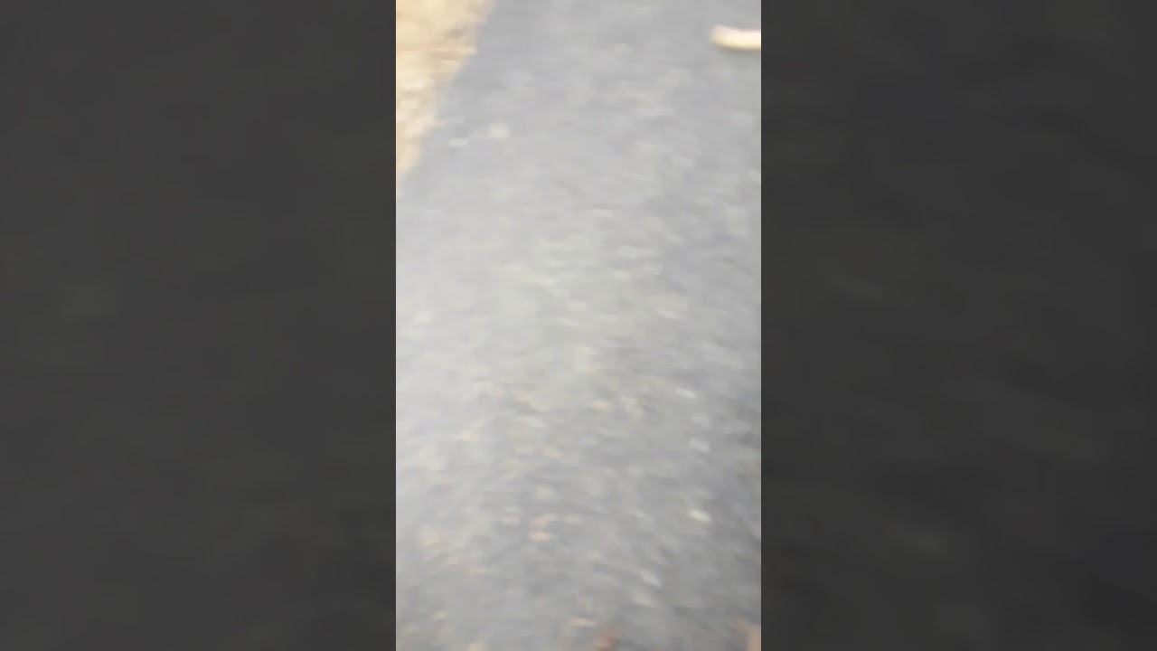 Ripping a $100 bill